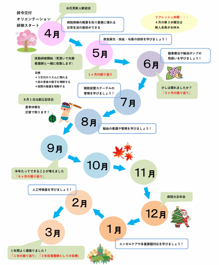 新人看護師１年目の流れ